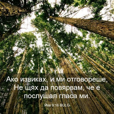Picture 03 - Йов 9:16 BULG - Ако извиках, и ми - Bible Verse Picture