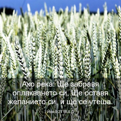 Picture 03 - Йов 9:27 BULG - Ако река: Ще забравя - Bible Verse Picture