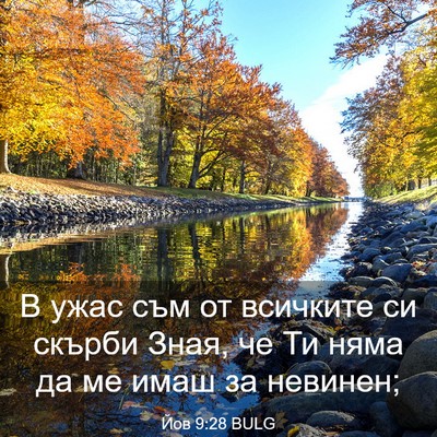 Picture 03 - Йов 9:28 BULG - В ужас съм от всичките си - Bible Verse Picture