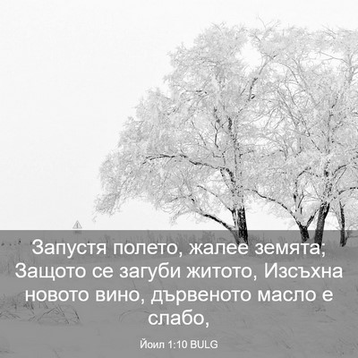 Picture 03 - Йоил 1:10 BULG - Запустя полето, жалее - Bible Verse Picture