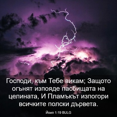 Picture 03 - Йоил 1:19 BULG - Господи, към Тебе викам; - Bible Verse Picture
