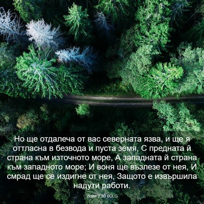 Picture 03 - Йоил 2:20 BULG - Но ще отдалеча от вас - Bible Verse Picture