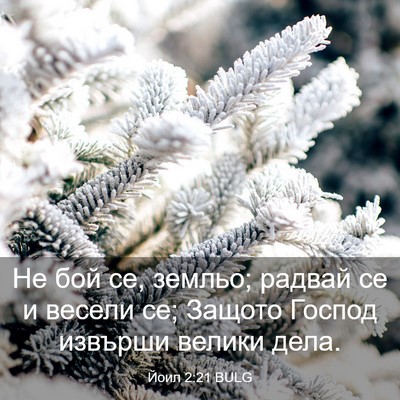 Picture 03 - Йоил 2:21 BULG - Не бой се, земльо; радвай се - Bible Verse Picture