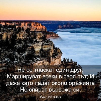 Picture 03 - Йоил 2:8 BULG - Не се тласкат един друг; - Bible Verse Picture