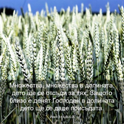 Picture 03 - Йоил 3:14 BULG - Множества, множества в - Bible Verse Picture