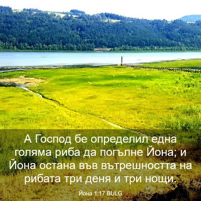 Picture 03 - Йона 1:17 BULG - А Господ бе определил една - Bible Verse Picture