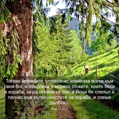 Picture 03 - Йона 1:5 BULG - Тогава моряците, уплашени, - Bible Verse Picture