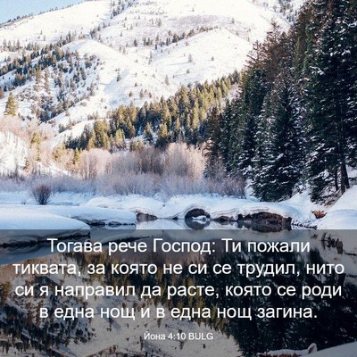 Picture 03 - Йона 4:10 BULG - Тогава рече Господ: Ти - Bible Verse Picture