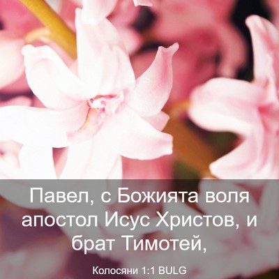 Picture 03 - Колосяни 1:1 BULG - Павел, с Божията воля - Bible Verse Picture