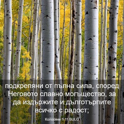 Picture 03 - Колосяни 1:11 BULG - подкрепяни от пълна сила, - Bible Verse Picture