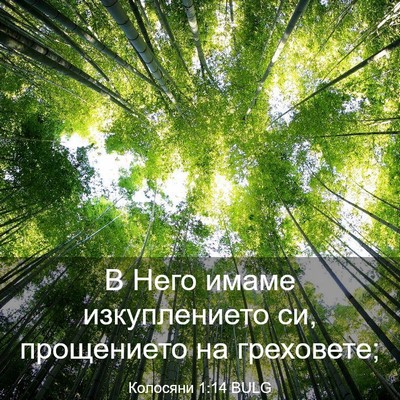 Picture 03 - Колосяни 1:14 BULG - В Него имаме изкуплението - Bible Verse Picture