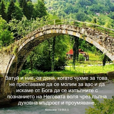 Picture 03 - Колосяни 1:9 BULG - Затуй и ние, от деня, когато - Bible Verse Picture