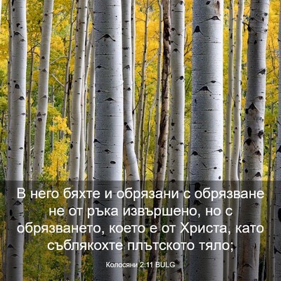 Picture 03 - Колосяни 2:11 BULG - В него бяхте и обрязани с - Bible Verse Picture