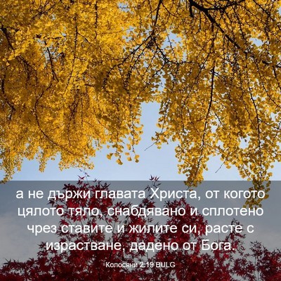Picture 03 - Колосяни 2:19 BULG - а не държи главата Христа, - Bible Verse Picture
