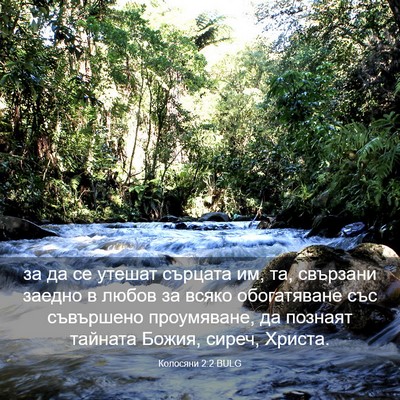 Picture 03 - Колосяни 2:2 BULG - за да се утешат сърцата им, - Bible Verse Picture