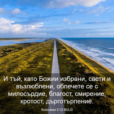 Picture 03 - Колосяни 3:12 BULG - И тъй, като Божии избрани, - Bible Verse Picture