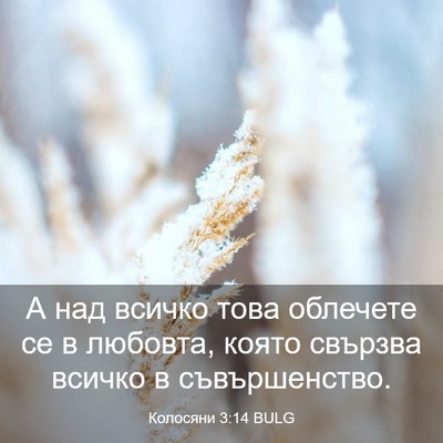 Picture 03 - Колосяни 3:14 BULG - А над всичко това облечете - Bible Verse Picture