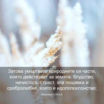 Picture 03 - Колосяни 3:5 BULG - Затова умъртвете - Bible Verse Picture