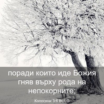 Picture 03 - Колосяни 3:6 BULG - поради които иде Божия - Bible Verse Picture