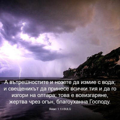 Picture 03 - Левит 1:13 BULG - А вътрешностите и нозете - Bible Verse Picture