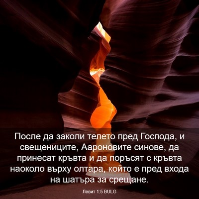 Picture 03 - Левит 1:5 BULG - После да заколи телето - Bible Verse Picture