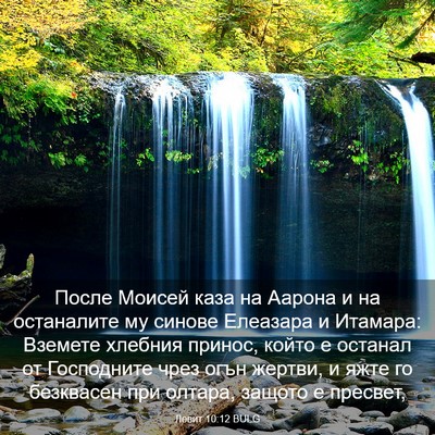 Picture 03 - Левит 10:12 BULG - После Моисей каза на - Bible Verse Picture