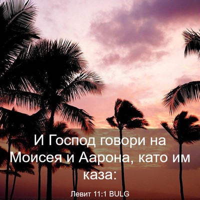 Picture 03 - Левит 11:1 BULG - И Господ говори на Моисея и - Bible Verse Picture
