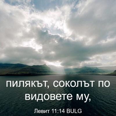 Picture 03 - Левит 11:14 BULG - пилякът, соколът по - Bible Verse Picture