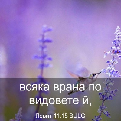 Picture 03 - Левит 11:15 BULG - всяка врана по видовете - Bible Verse Picture