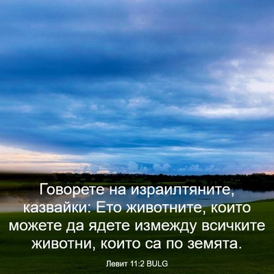 Picture 03 - Левит 11:2 BULG - Говорете на израилтяните, - Bible Verse Picture