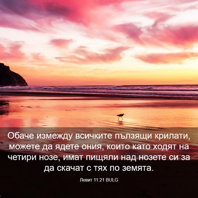 Picture 03 - Левит 11:21 BULG - Обаче измежду всичките - Bible Verse Picture