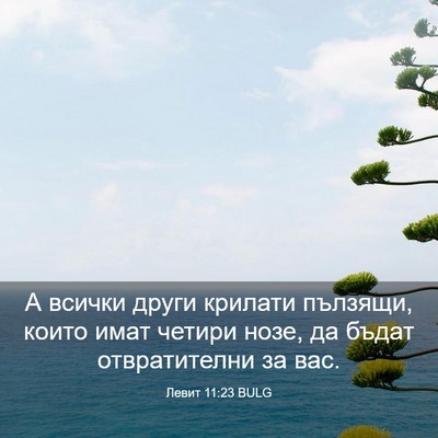 Picture 03 - Левит 11:23 BULG - А всички други крилати - Bible Verse Picture