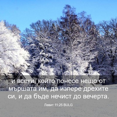 Picture 03 - Левит 11:25 BULG - и всеки, който понесе нещо - Bible Verse Picture