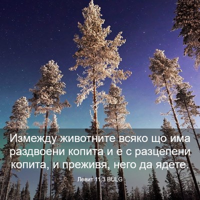 Picture 03 - Левит 11:3 BULG - Измежду животните всяко що - Bible Verse Picture