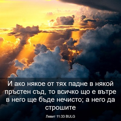 Picture 03 - Левит 11:33 BULG - И ако някое от тях падне в - Bible Verse Picture