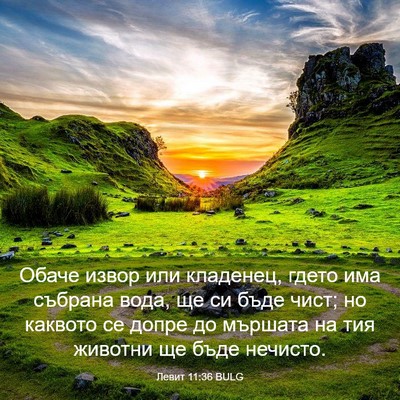 Picture 03 - Левит 11:36 BULG - Обаче извор или кладенец, - Bible Verse Picture