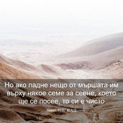 Picture 03 - Левит 11:37 BULG - Но ако падне нещо от - Bible Verse Picture
