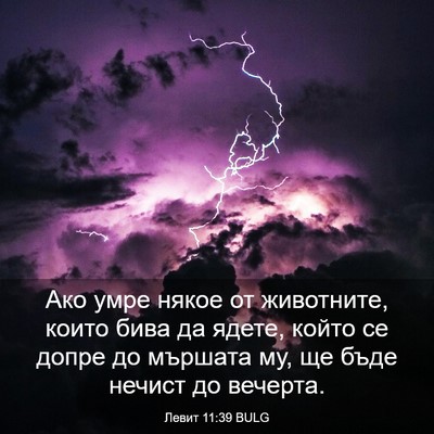 Picture 03 - Левит 11:39 BULG - Ако умре някое от - Bible Verse Picture
