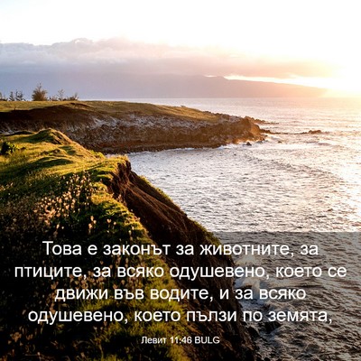 Picture 03 - Левит 11:46 BULG - Това е законът за - Bible Verse Picture