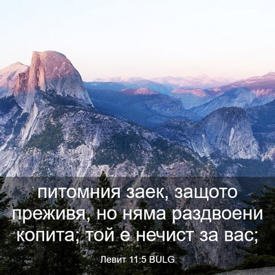 Picture 03 - Левит 11:5 BULG - питомния заек, защото - Bible Verse Picture