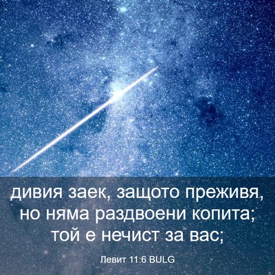 Picture 03 - Левит 11:6 BULG - дивия заек, защото преживя, - Bible Verse Picture