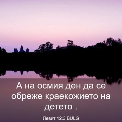 Picture 03 - Левит 12:3 BULG - А на осмия ден да се обреже - Bible Verse Picture