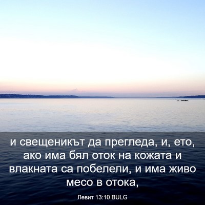 Picture 03 - Левит 13:10 BULG - и свещеникът да прегледа, - Bible Verse Picture