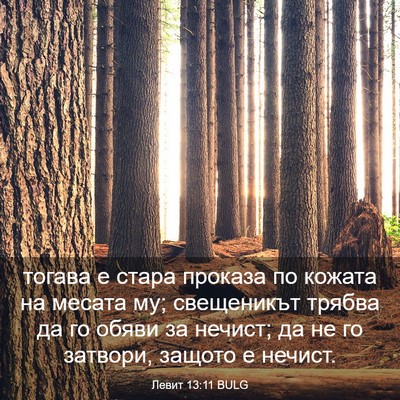 Picture 03 - Левит 13:11 BULG - тогава е стара проказа по - Bible Verse Picture