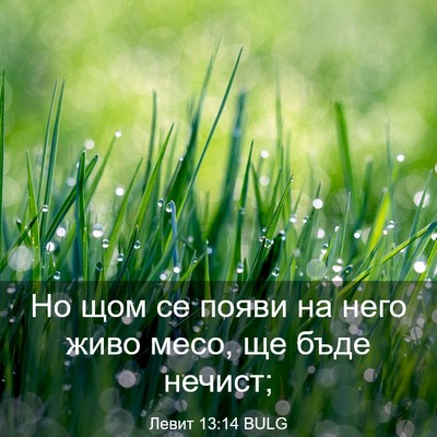 Picture 03 - Левит 13:14 BULG - Но щом се появи на него - Bible Verse Picture