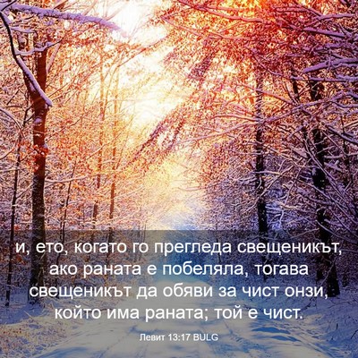 Picture 03 - Левит 13:17 BULG - и, ето, когато го прегледа - Bible Verse Picture