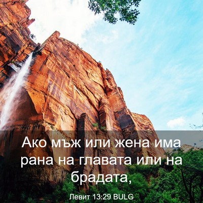 Picture 03 - Левит 13:29 BULG - Ако мъж или жена има рана - Bible Verse Picture