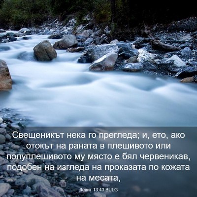 Picture 03 - Левит 13:43 BULG - Свещеникът нека го - Bible Verse Picture