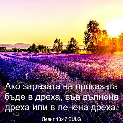 Picture 03 - Левит 13:47 BULG - Ако заразата на проказата - Bible Verse Picture