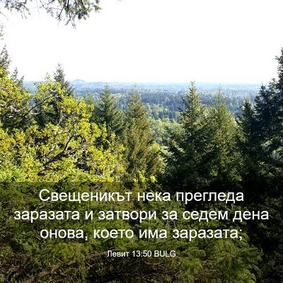Picture 03 - Левит 13:50 BULG - Свещеникът нека прегледа - Bible Verse Picture